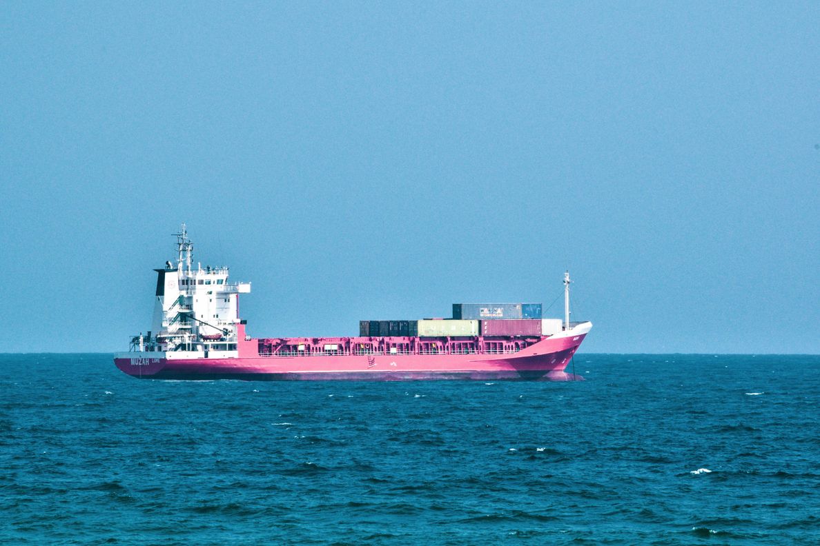 黄狗外贸物流海运实拍