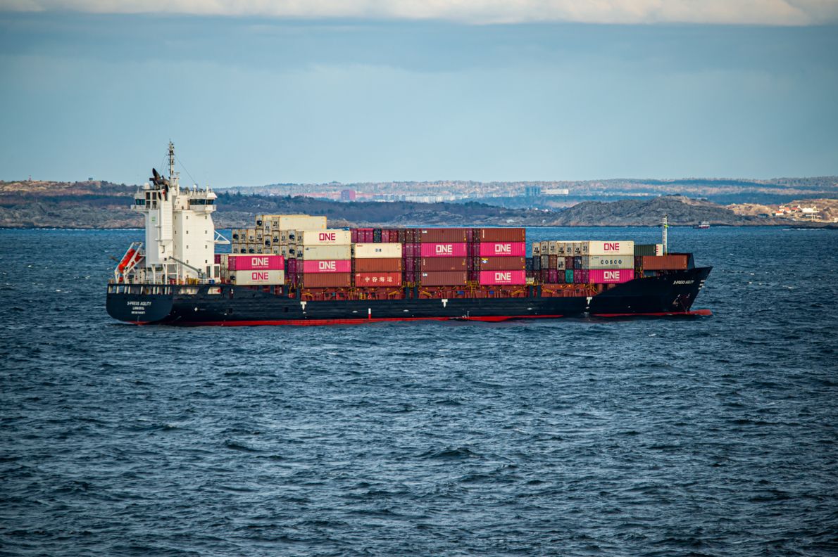 东莞海运到埃及塞得港40HQ整柜报价集装箱海运